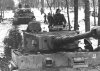 Panzer VI Tiger I (26)